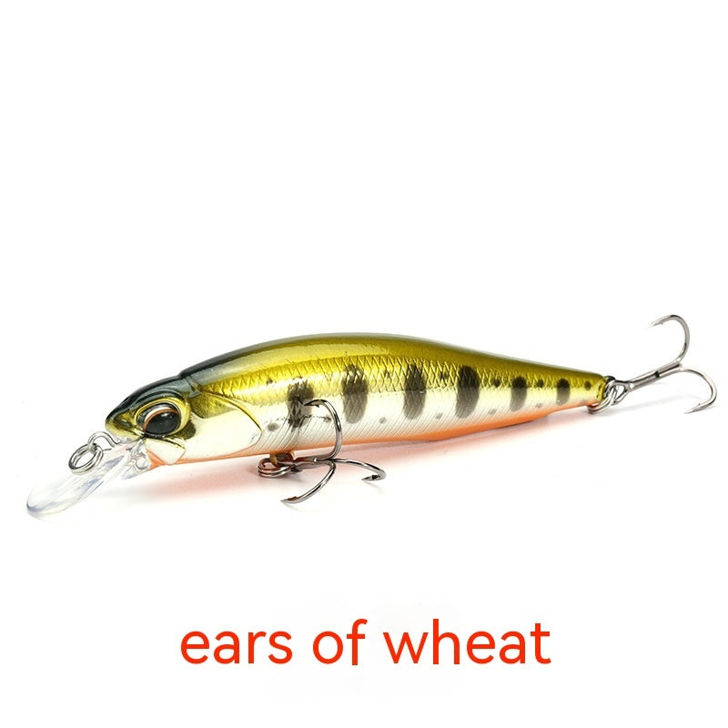 e63af5dbb6386c1d622fdcce38d72ae2
